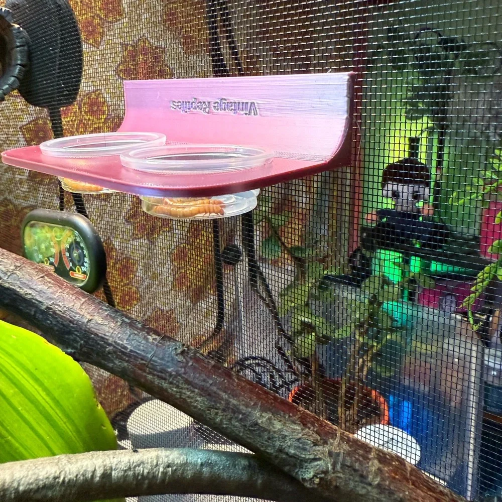 Magnetic Reptile Feeder